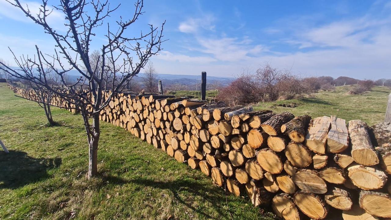 Pensiune Runcu Stone Exterior foto