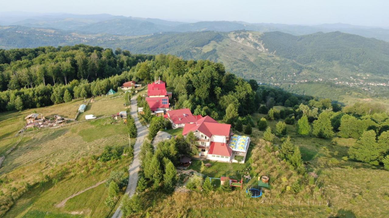 Pensiune Runcu Stone Exterior foto