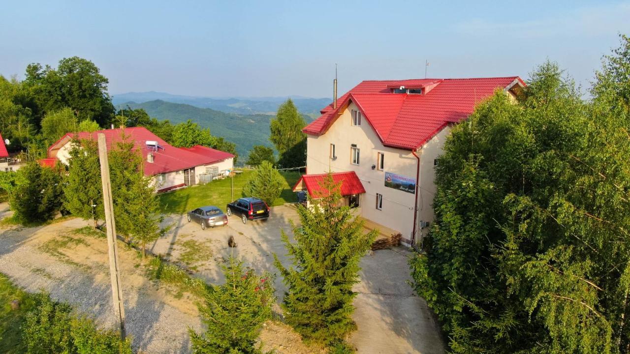Pensiune Runcu Stone Exterior foto